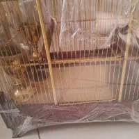 قفس برنجی گنبدی|لوازم جانبی حیوانات|تهران, بیسیم|دیوار