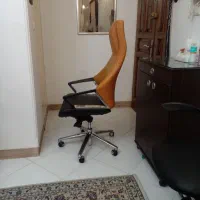 صندلی کامپیوتر|صندلی و نیمکت|کرج, گوهردشت|دیوار
