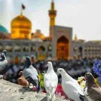 تور مشهد با قطار ( آژانس ایمان گستر )