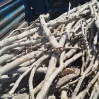 زغال کبابی|عمدهفروشی|شهریار, کرد امیر|دیوار