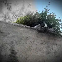 نصب دوربین مداربسته با قیمت مناسب + بازدید رایگان