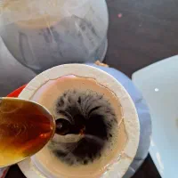 شیره خرما اصل بوشهری ۱۰۰٪عسل|خوردنی و آشامیدنی|اصفهان, ارغوانیه|دیوار