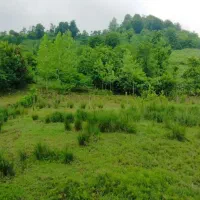 ۴۰۰مترمسکونی پلاک ۱جنگل با پروانه/بام روستا