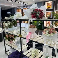درختچه مصنوعی درخت مصنوعی|گل مصنوعی|شیراز, ریشمک|دیوار