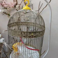 قفس طلایی پایه دار  با تمام لوازم ها