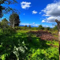 510مترزمین مسکونی کوهپایه جنگلی مجوز ساخت ویلا