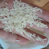 پخش عمده برنج قلی زاده|خوردنی و آشامیدنی|ایلخچی, |دیوار