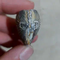 فسیل|کلکسیون اشیاء عتیقه|ایلام, |دیوار