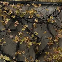 مسکونی در روستای کندرود