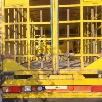 تعویز اتاق مرغ با اتاق بار|خودرو سنگین|باغ ملک, |دیوار