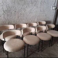 مولی|ماهی|رشت, بازار|دیوار