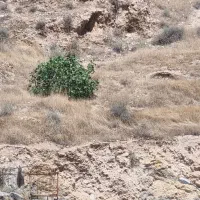 فروش-زمین-برف-فروشان