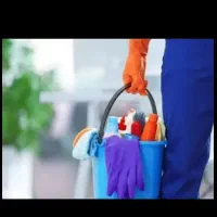 نظافت کار خانم