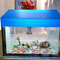 آکواریوم بزرگ