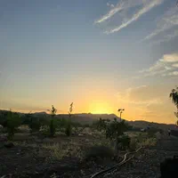 باغچه ۲۰۰۰هزارمتری در جاده کاشان|فروش خانه و ویلا|قم, شهر قائم|دیوار