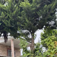 مشارکت  ساخت  بهترین لوکیشن هروی