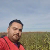 بزرگترین تولیدکننده نهال درایران تمامی ارقام