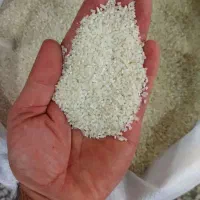 برنج فجر سوزنی گلستان