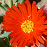 نیاز به کار