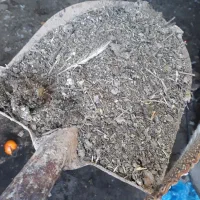 کود کفتر و مرغ