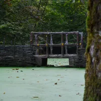 استخدام نیروی عکاسی