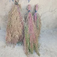 جارو|جاروبرقی، جارو شارژی، بخارشو|ملایر, |دیوار