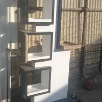 دکور مغازه|بوفه، ویترین، کنسول|تهران, شوش (باغ آذری)|دیوار