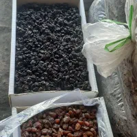 کشمش بیدانه افتابی|خوردنی و آشامیدنی|رشت, گیل|دیوار