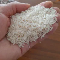برنج هاشمی