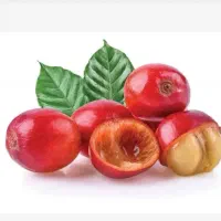 بازاریاب قهوه با انگیزه ثابت + پورسانت + پاداش