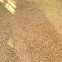 ذرت برزیلی دامی درجه یک