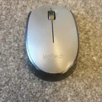 موس خاکستری