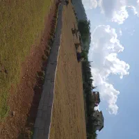 تهاتر زمین پلاک اول جنگل دارای چشم انداز بینظیر|فروش زمین و ملک کلنگی|فریم, |دیوار