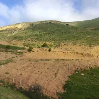 فروش باغ با حق آبه کشاورزی در کامان