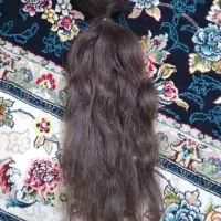 موی کاملا طبیعی