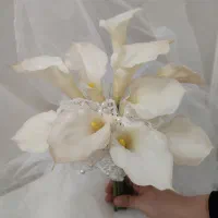 دسته گل عروس بهمراه تاج و گل جیب داماد