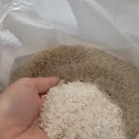 برنج مجلسی