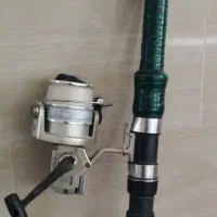 لنسر ماهیگیری اصل|ماهیگیری|قم, چهل درخت‎|دیوار
