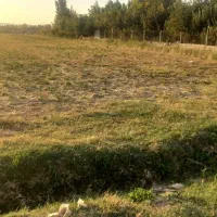 پیشک2خیابان خانم عطایی زمین خالی 4تا قطعه 500متری|فروش زمین و ملک کلنگی|ماهدشت, |دیوار