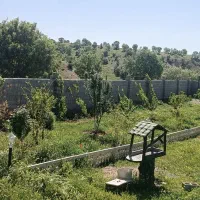 سوییت شیک و تمیز|اجارهٔ کوتاهمدت آپارتمان و سوئیت|کوهدشت, |دیوار