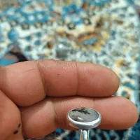 انگشتر شجر|کلکسیون و سرگرمی|کرمانشاه, |دیوار