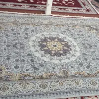 فرش و پادری|فرش|بروجرد, |دیوار