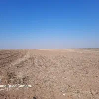زمین کشاورزی و باغ انگور تاکستان