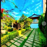 *700میلیون زیرقیمت*باغ جنگلی کوهستانی/پردرخت میوه|فروش خانه و ویلا|امامزاده عبدالله, |دیوار