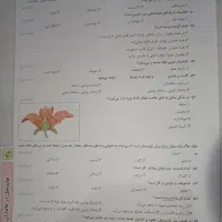 در حد نو|کتاب و مجله آموزشی|سراوان, |دیوار
