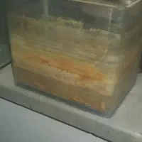 اکواریوم|ماهی|چهاردانگه (تهران), |دیوار