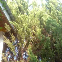 خانه ویلایی شیک و عروسکی