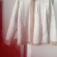 فروش بوفالو