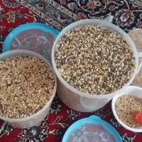 جفت کنی گنجه قفس آهنی و دانه کفتر|لوازم جانبی حیوانات|تهران, بهارستان|دیوار