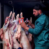 *فقط 3روز* فروش گوسفند تعاونی/نصفگوشت*خونی زنده